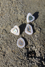 Load image into Gallery viewer, Paua Earrings