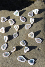 Load image into Gallery viewer, Paua Earrings