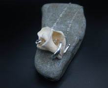Load image into Gallery viewer, Fossil No. 4