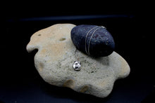 Load image into Gallery viewer, Fossil No. 1